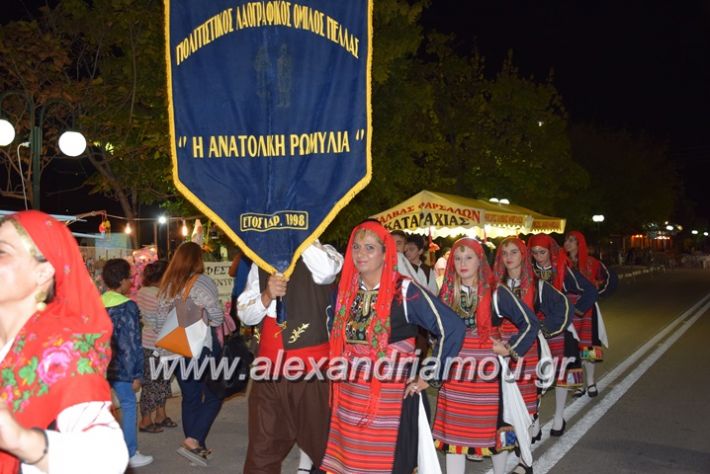 alexandriamou.gr_trikalaantamoma17016