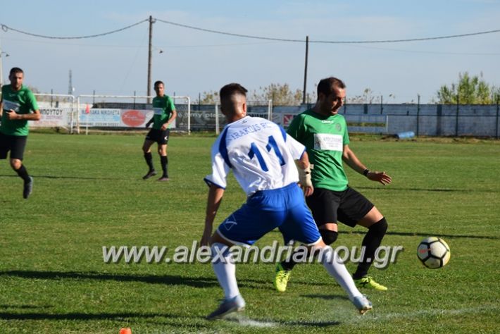 alexandriamou.gr_trikala_hraklis15.10.17097