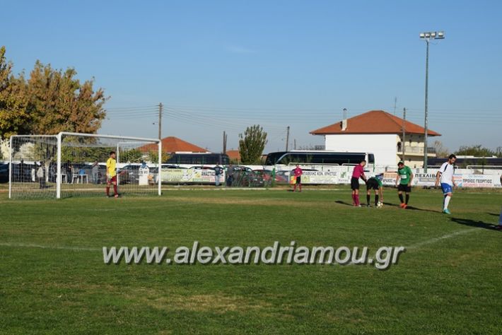 alexandriamou.gr_trikala_hraklis15.10.17166