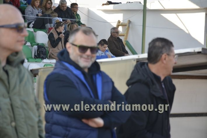 alexandriamou.gr_TRIKALA0511007