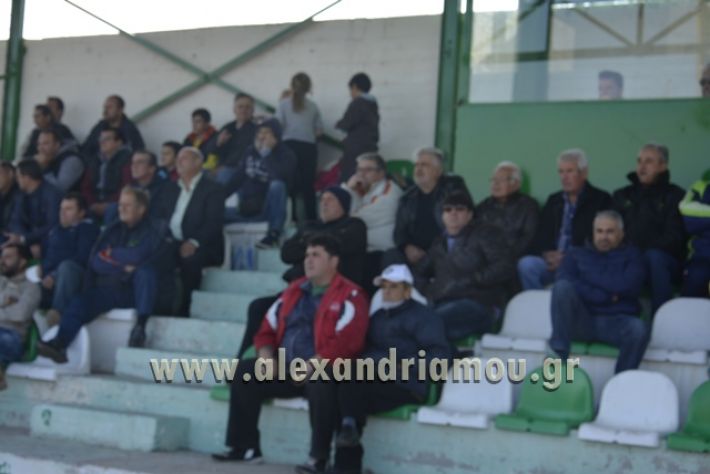 alexandriamou.gr_TRIKALA0511012