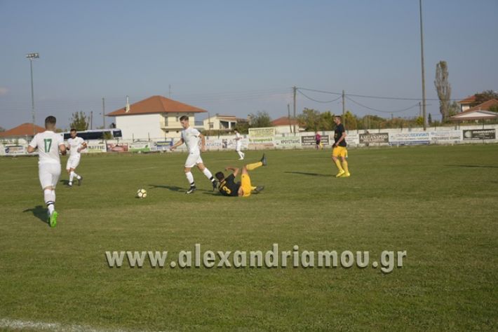 alexandriamou.gr_TRIKALA0511018