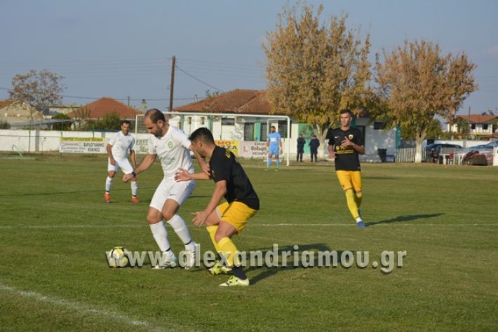 alexandriamou.gr_TRIKALA0511020