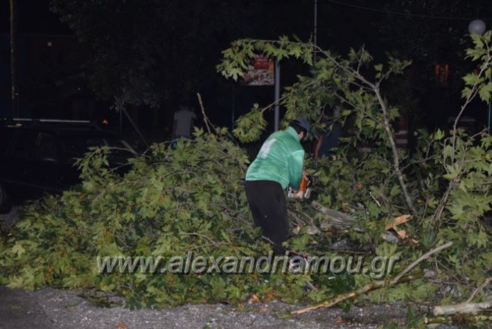 alexandriamou.gr_trikala_katastrofes030