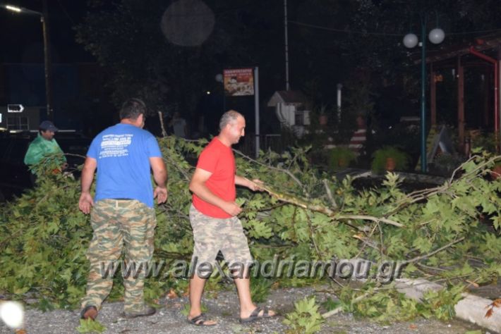 alexandriamou.gr_trikala_katastrofes033