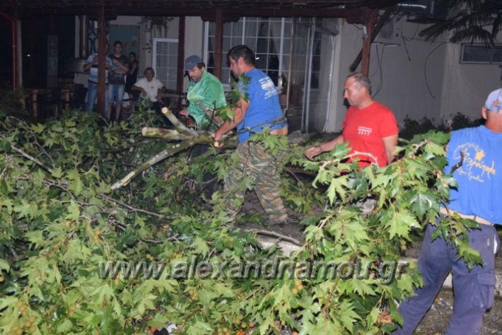 alexandriamou.gr_trikala_katastrofes035