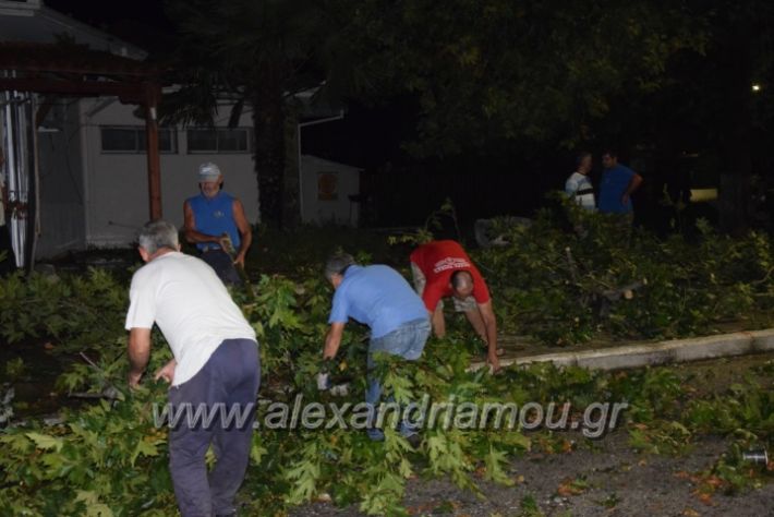 alexandriamou.gr_trikala_katastrofes037