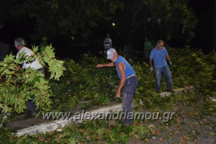alexandriamou.gr_trikala_katastrofes042
