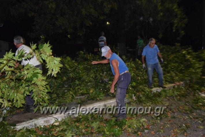 alexandriamou.gr_trikala_katastrofes042