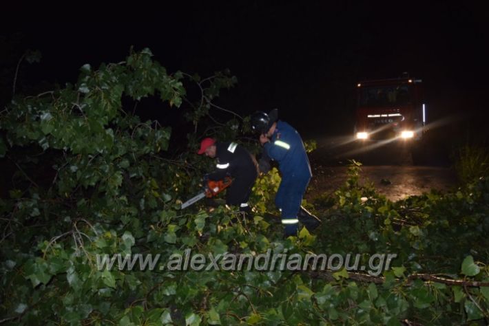 alexandriamou.gr_trikala_katastrofes058