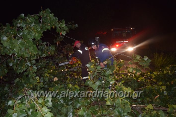 alexandriamou.gr_trikala_katastrofes060