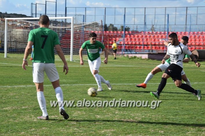 alexandriamou.gr_trikalapaokkupelo2018043