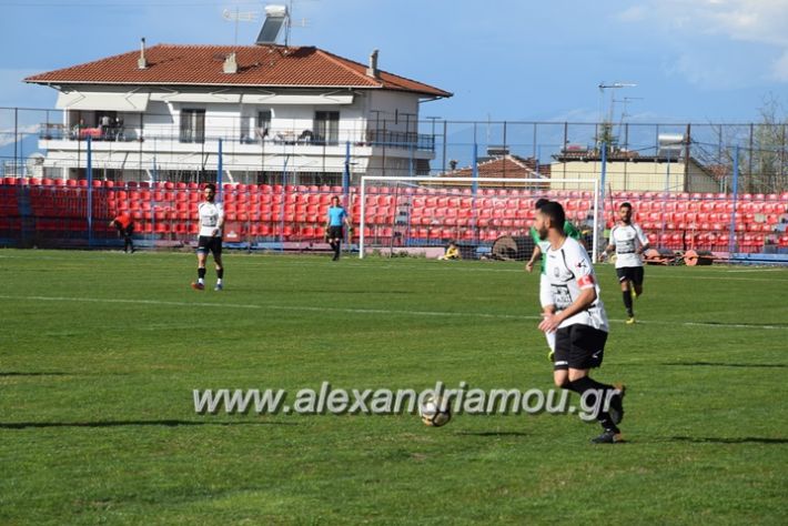 alexandriamou.gr_trikalapaokkupelo2018079