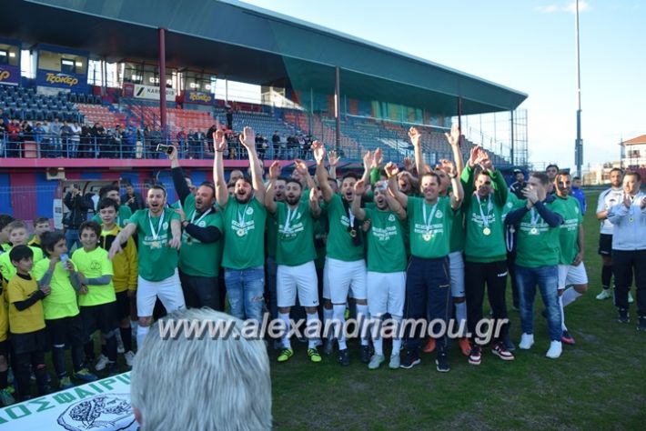 alexandriamou.gr_trikalapaokkupelo2018164