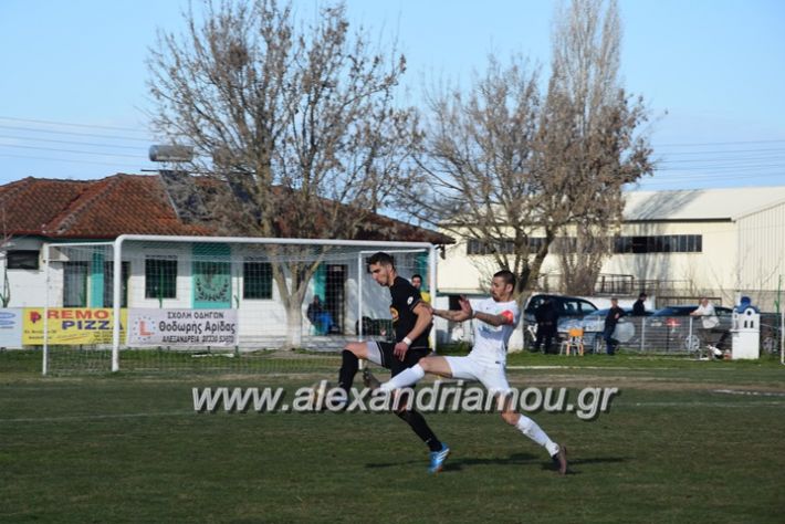 alexandriamou.gr_megaspierikos078