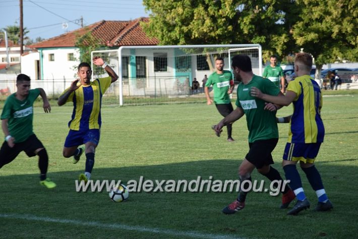 alexandriamou.gr_trikala_rodoxori032