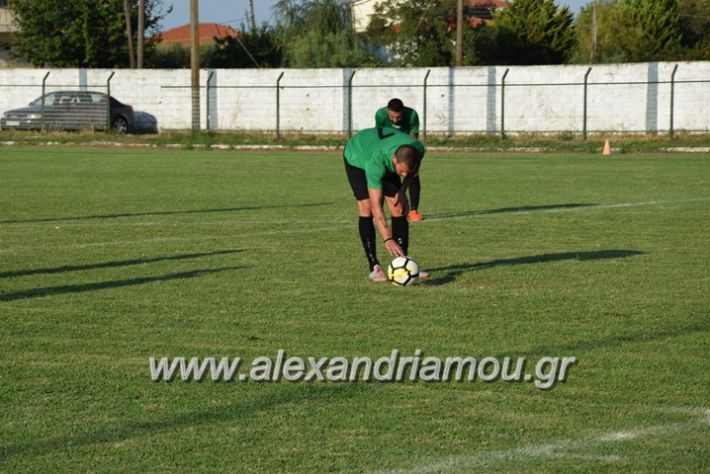 alexandriamou.gr_trikala_rodoxori036