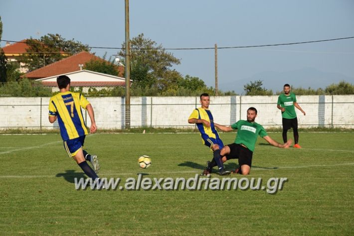 alexandriamou.gr_trikala_rodoxori050