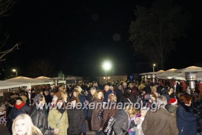 alexandriamou.gr_trikalaanamma2018006