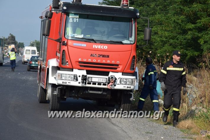 alexandriamou_troxeo04.06.17005