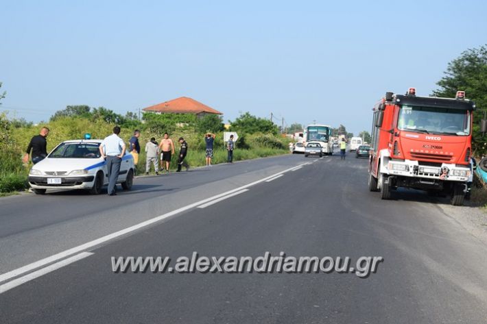 alexandriamou_troxeo04.06.17007