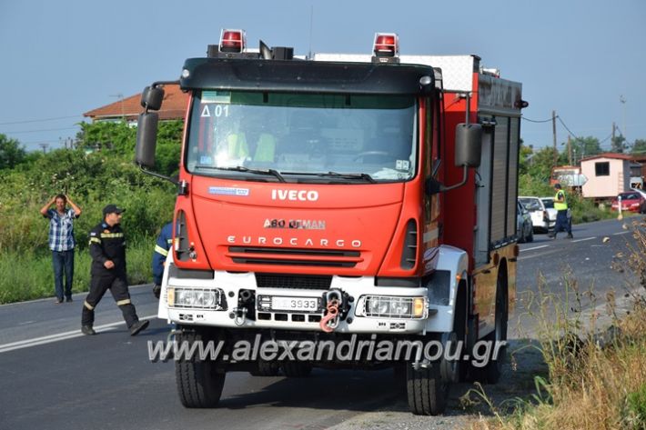 alexandriamou_troxeo04.06.17010