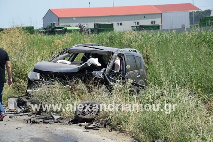 alexandriamou.gr_troxeo2122013