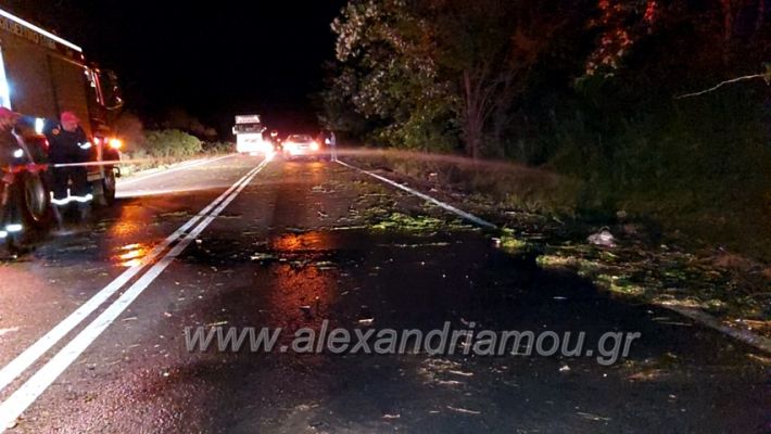 alexandriamou.gr_troxeo21182916651_286472173115490_5171816568118506617_n