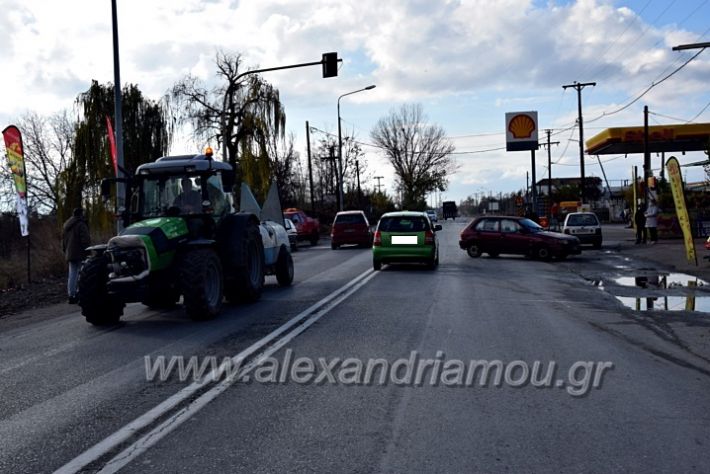 alexandriamou.gr_troxeo0215DSC_0008