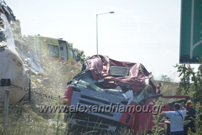 alexandriamou.gr_troxeo06.07.18006