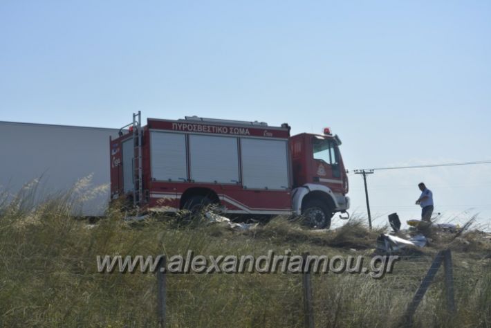 alexandriamou.gr_troxeo06.07.18009