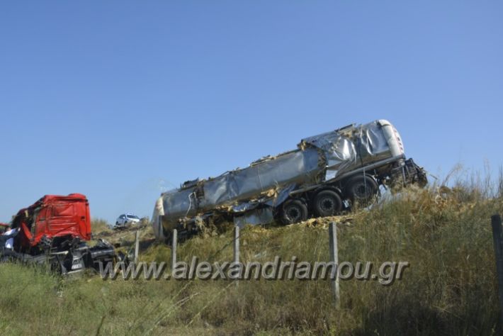 alexandriamou.gr_troxeo06.07.18029