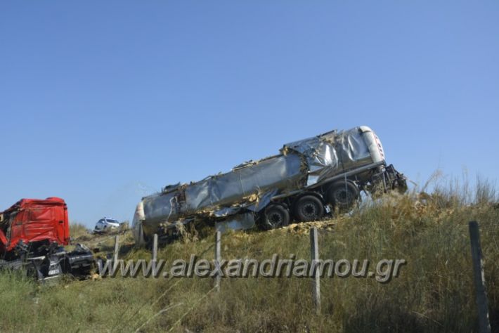 alexandriamou.gr_troxeo06.07.18030