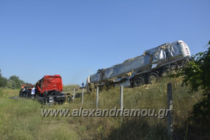 alexandriamou.gr_troxeo06.07.18033