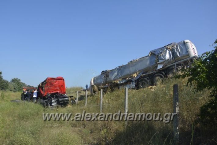 alexandriamou.gr_troxeo06.07.18034