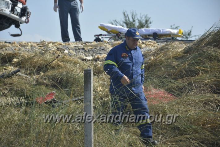 alexandriamou.gr_troxeo06.07.18038