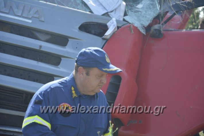 alexandriamou.gr_troxeo06.07.18043