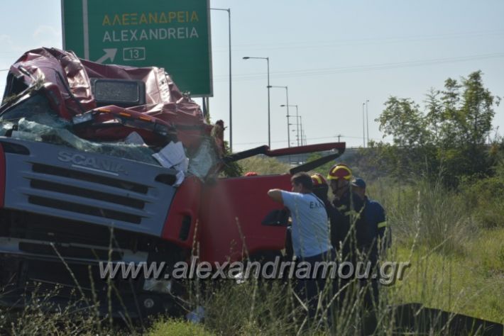 alexandriamou.gr_troxeo06.07.18053