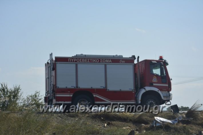 alexandriamou.gr_troxeo06.07.18058