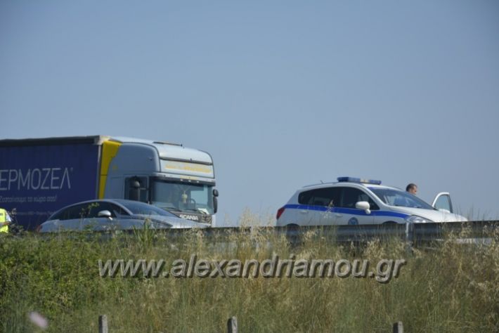 alexandriamou.gr_troxeo06.07.18061