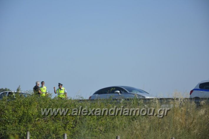 alexandriamou.gr_troxeo06.07.18062