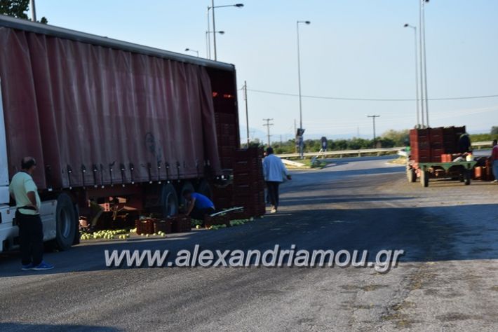 alexandriamou.gr_troxeo06002