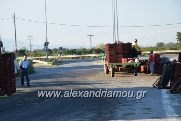 alexandriamou.gr_troxeo06004