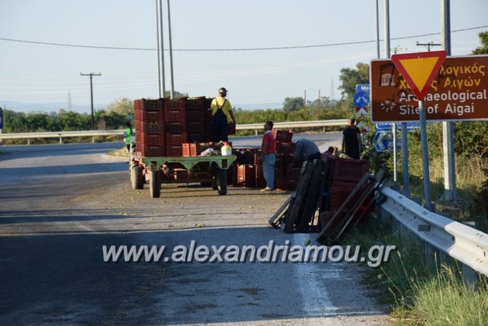 alexandriamou.gr_troxeo06005