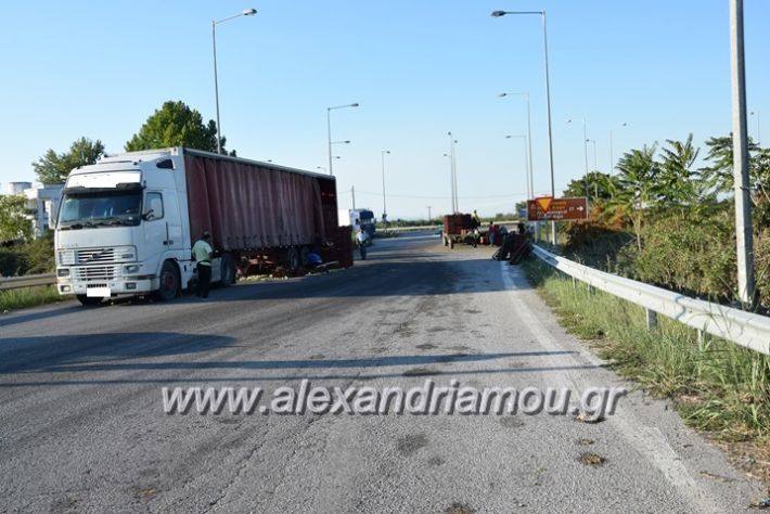 alexandriamou.gr_troxeo06006