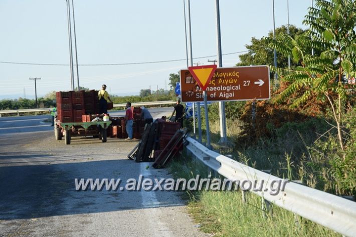 alexandriamou.gr_troxeo06007