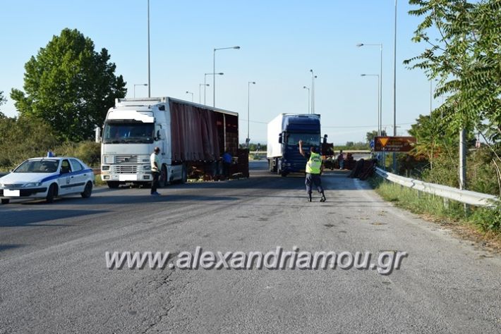 alexandriamou.gr_troxeo06011