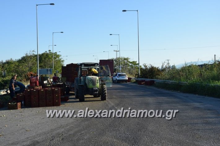 alexandriamou.gr_troxeo06015