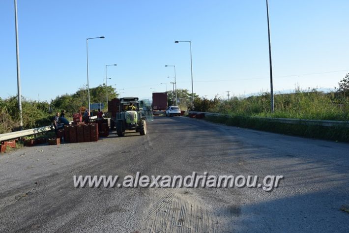 alexandriamou.gr_troxeo06016