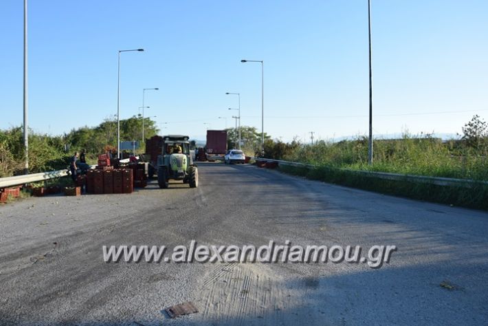 alexandriamou.gr_troxeo06020